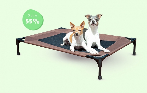 Pet Salon
